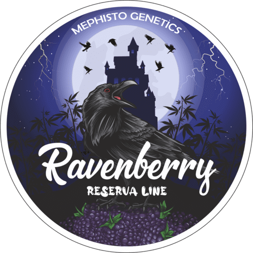 Ravenberry Auto