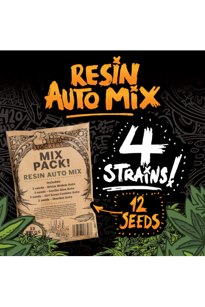 Resin Auto Mix Pack