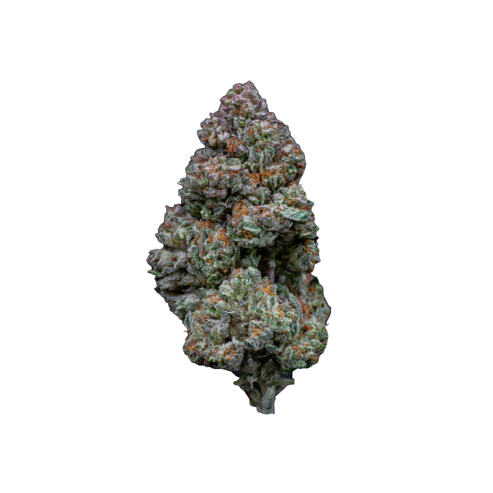 RS11 (Rainbow Sherbert #11)