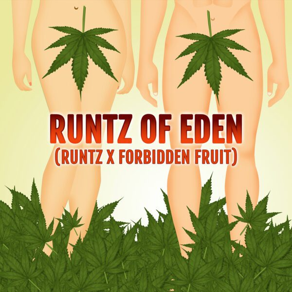 Runtz of Eden