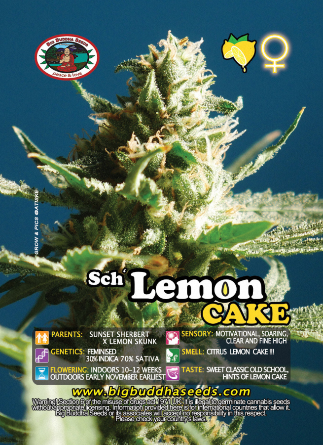 Lemon Cake (BBS)