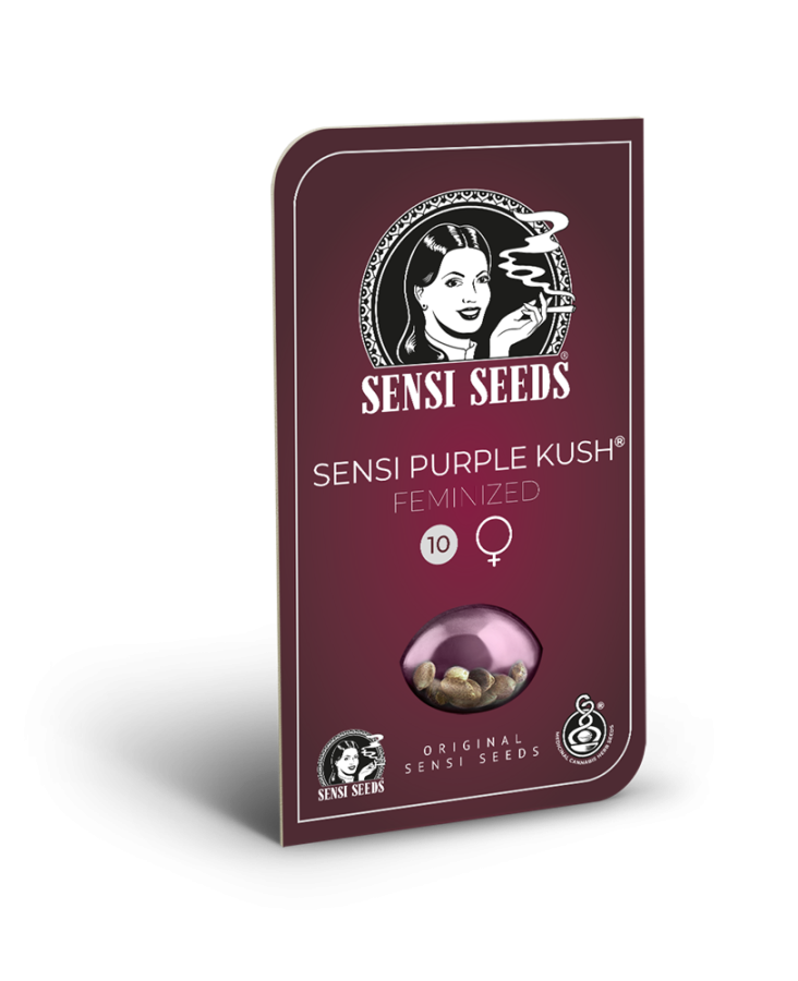 Sensi Purple Kush