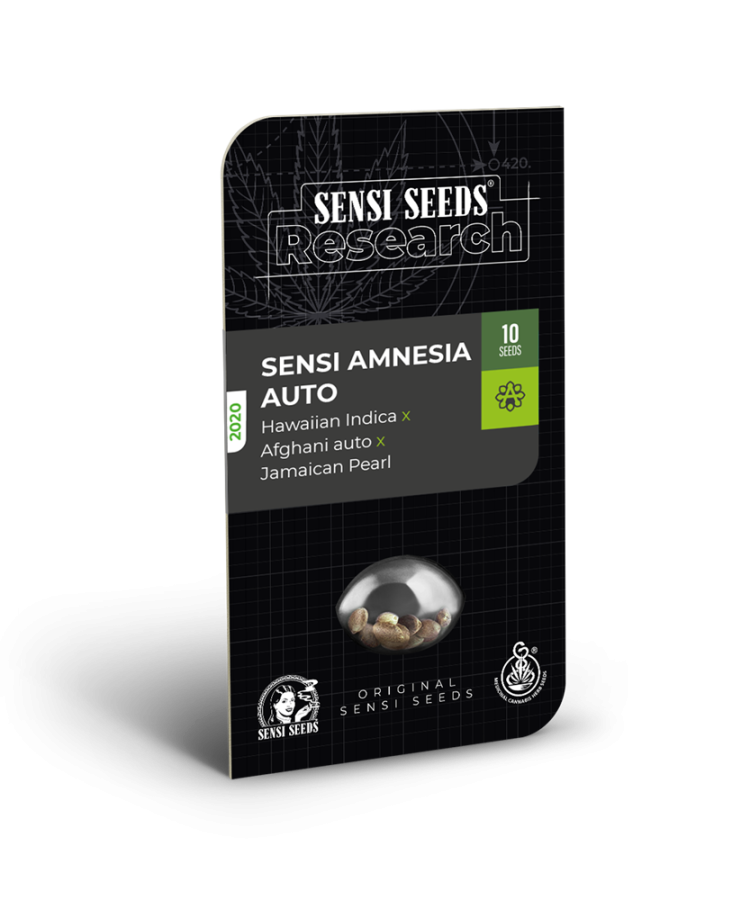 Sensi Amnesia Auto