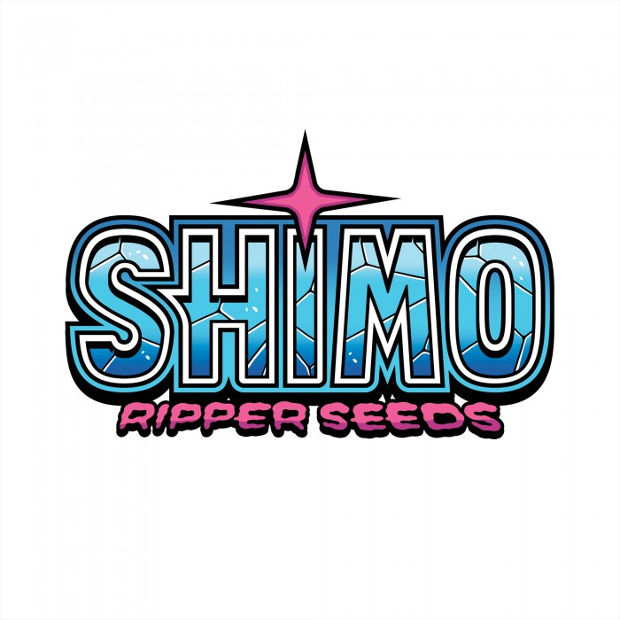 Shimo