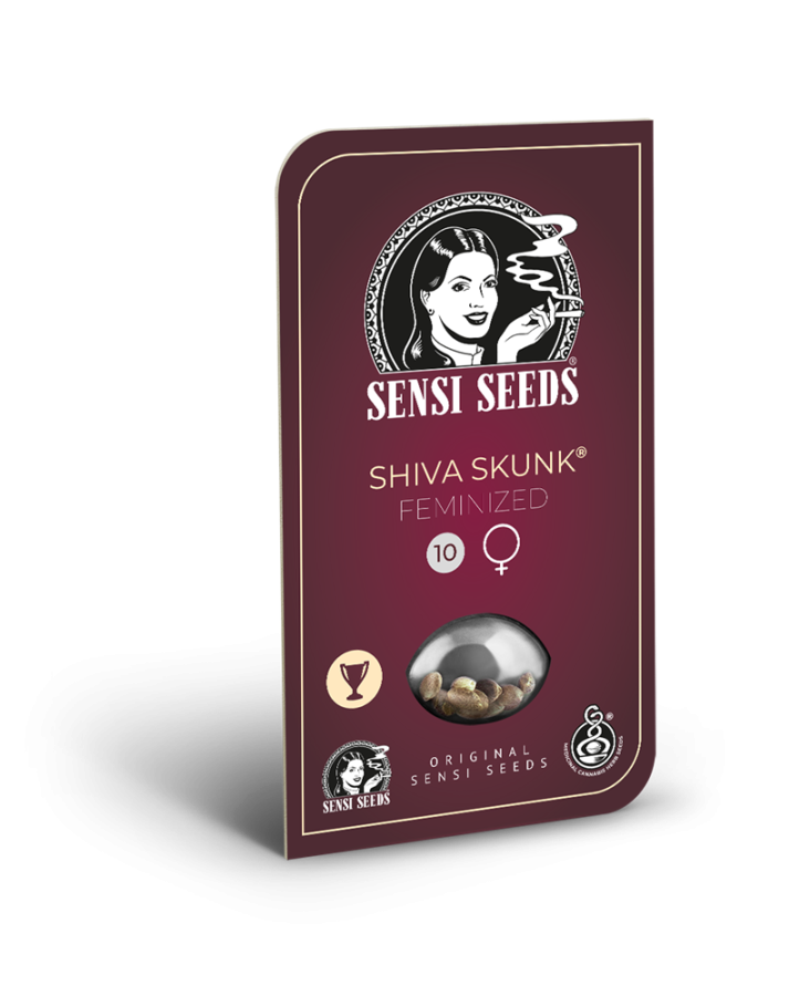 Shiva Skunk