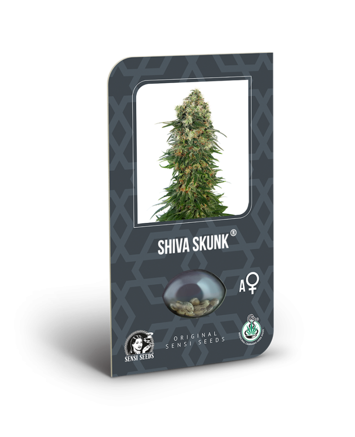 Shiva Skunk Auto - Sensi Seeds