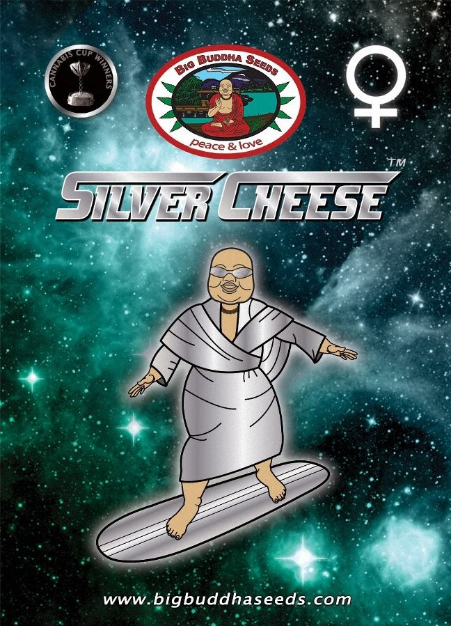 Silver Cheese