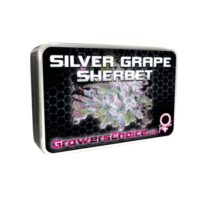 Silver Grape Sherbet