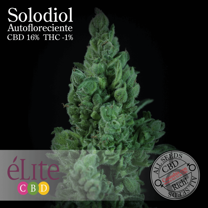 Solodiol Auto CBD