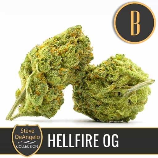 Steves Hellfire OG