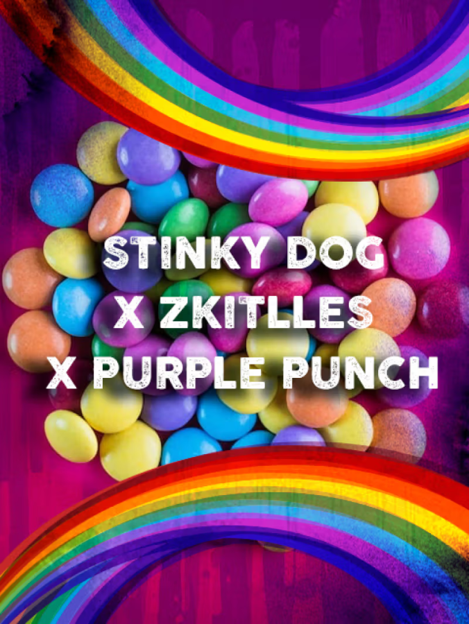 Stinky Dog-Skittles x Purple Punch