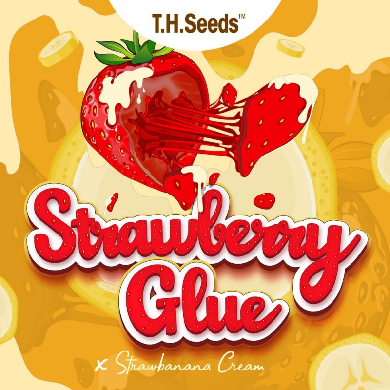 Strawberry Glue X SBC regulär