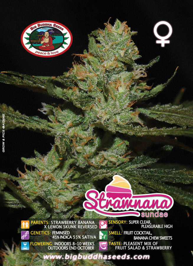 Strawnana Sundae