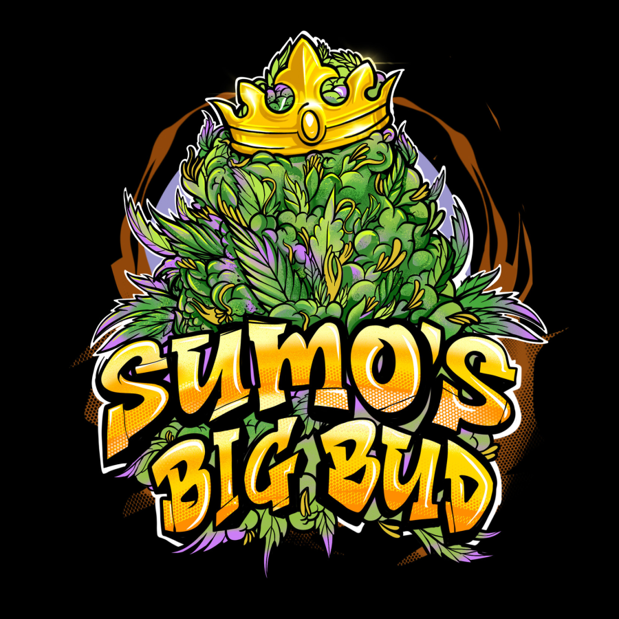 Sumos Big Bud