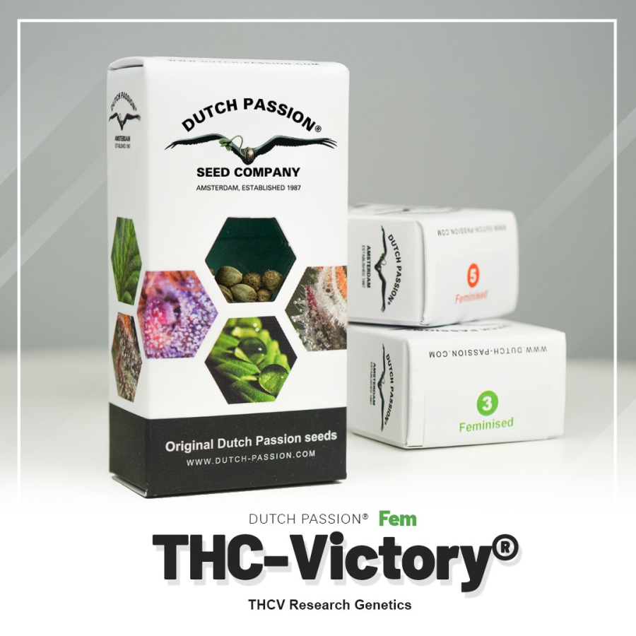 THC-Victory