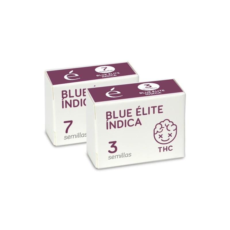 Blue Elite Indica