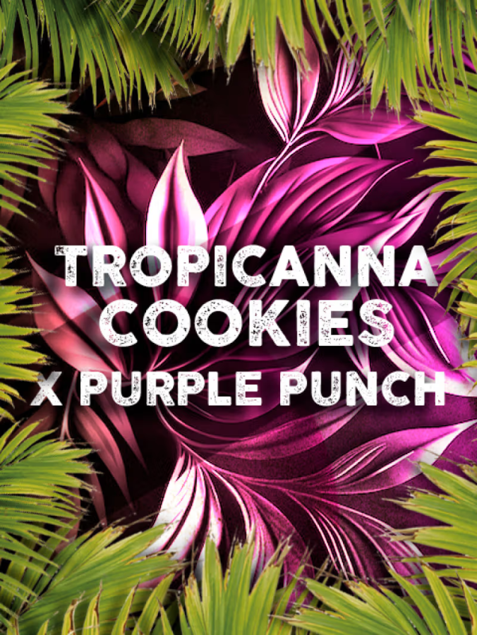 Tropicanna Cookies x Purple Punch