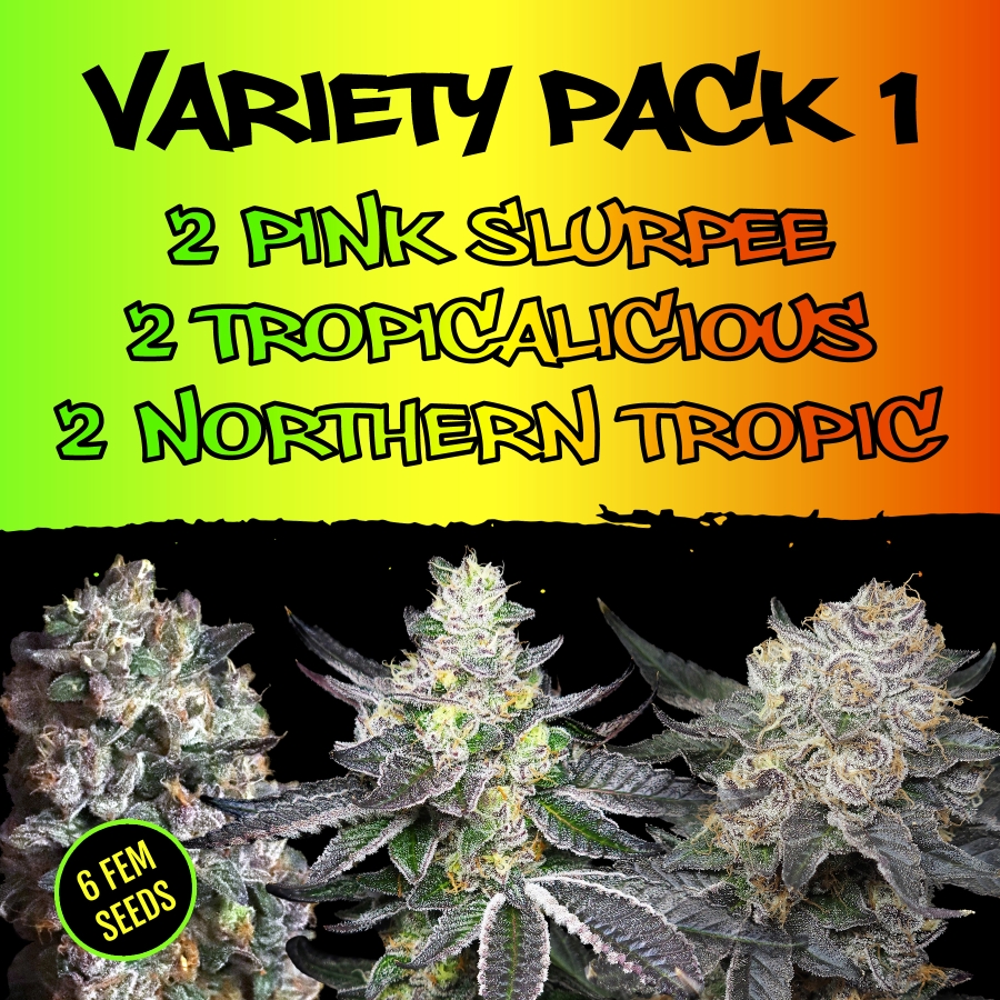 Variety Pack 1