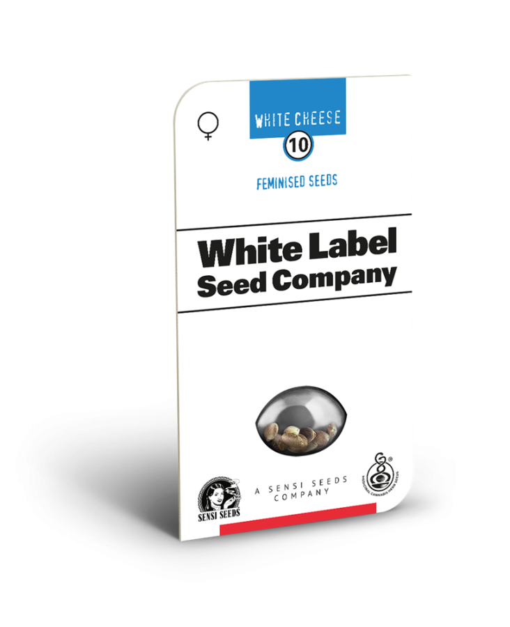 White Cheese (White Label Seeds)