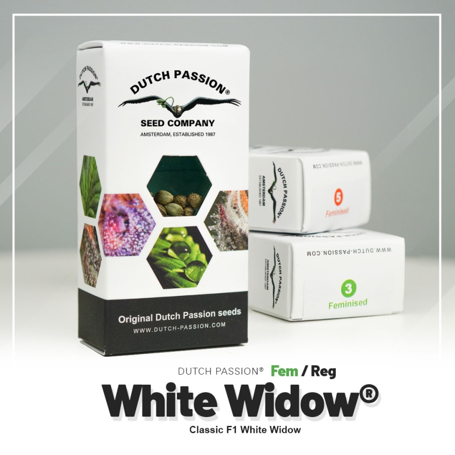 White Widow (Dutch Passion)