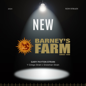 Barneys Farm Gary Payton Art.-Nr. BarnFa-98857