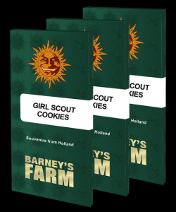 Barneys Farm Girl Scout Cookies (Barney's) Art.-Nr. BarnFa-98585